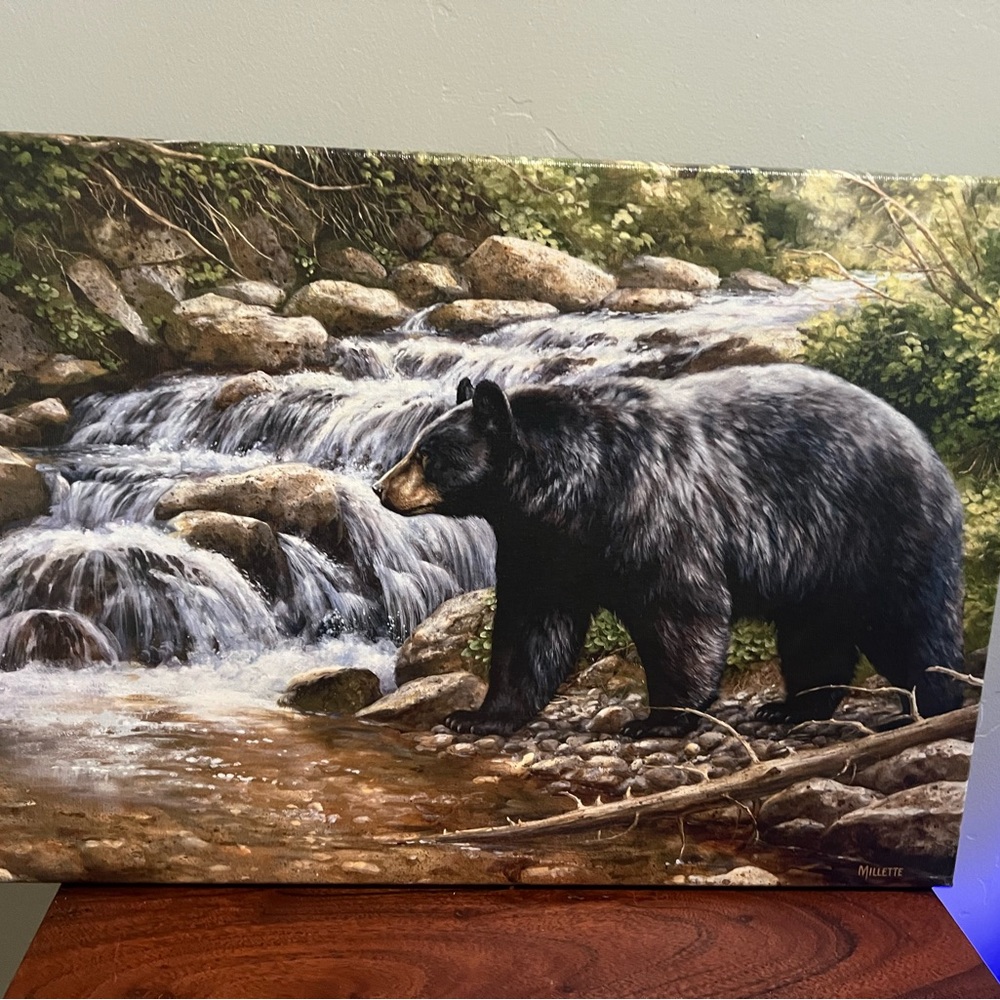West wings canvas “Shadow of the Forrest black Bear”